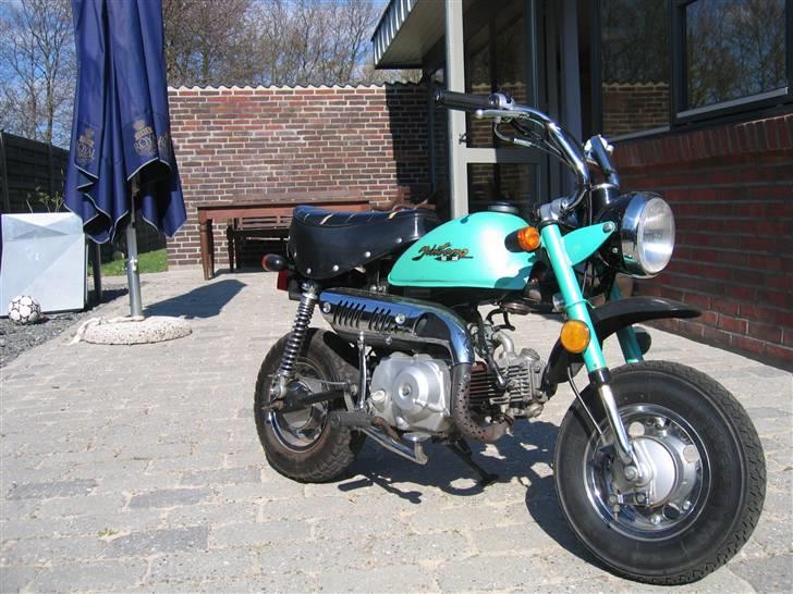 Jincheng monkey billede 1