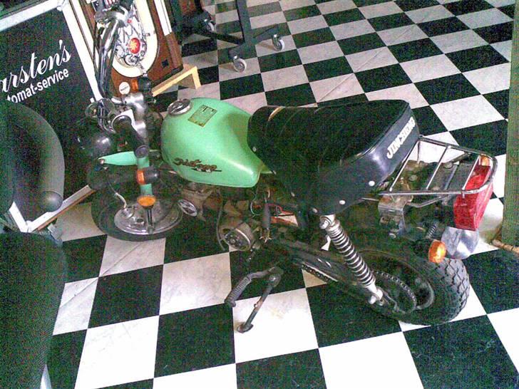 Jincheng monkey - lige da jeg fik den  billede 2