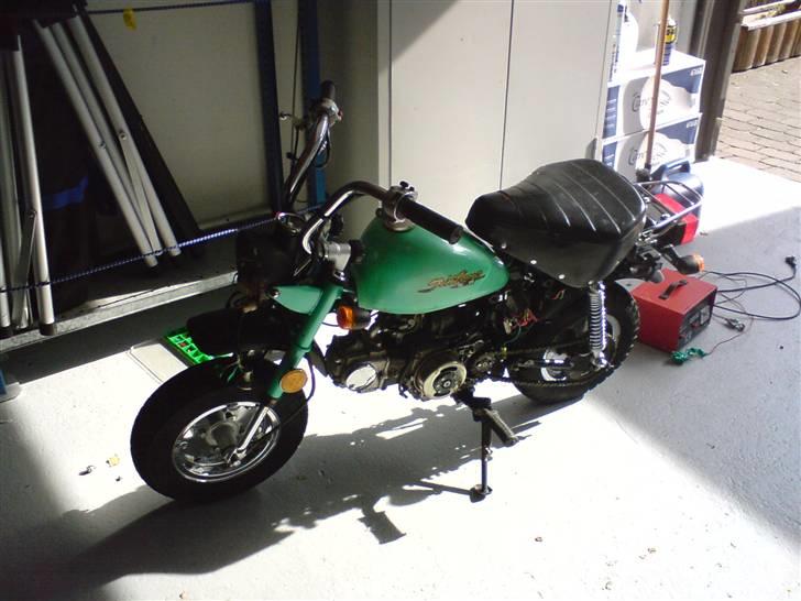 Jincheng monkey - lige da jeg fik den  billede 3