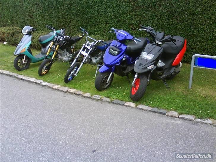 PGO hot 50 Projekt billede 6