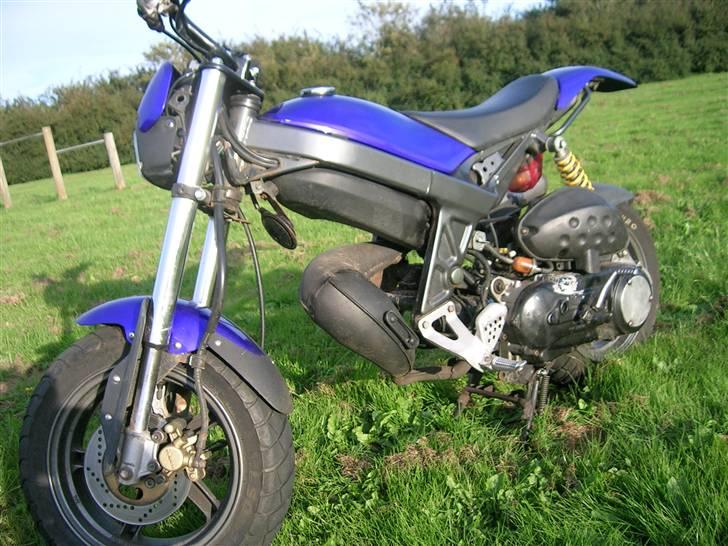 Suzuki Street Magic - Solgt billede 8