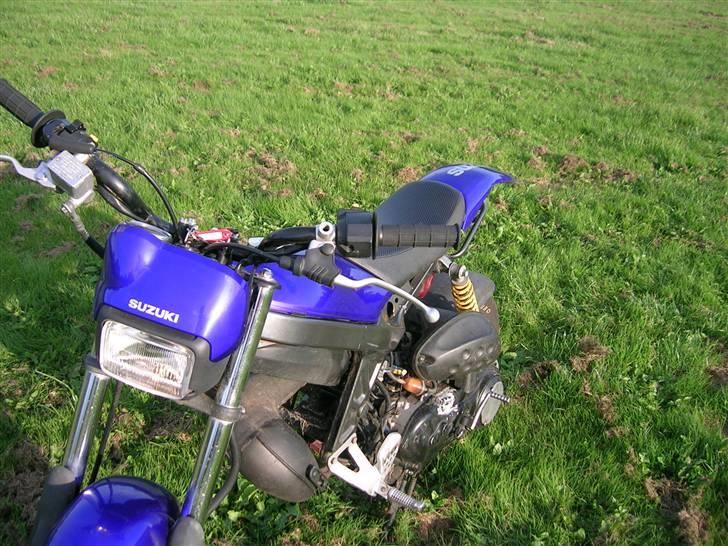 Suzuki Street Magic - Solgt billede 10