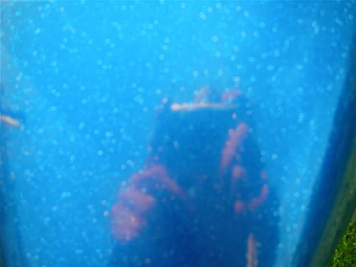 Aprilia sonic (SOLGT) billede 4