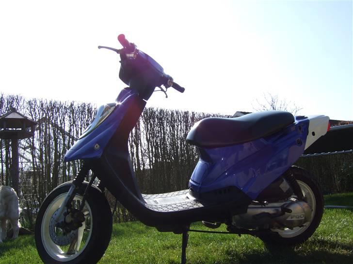 PGO Hot 50! tilsalg 5500kr billede 9