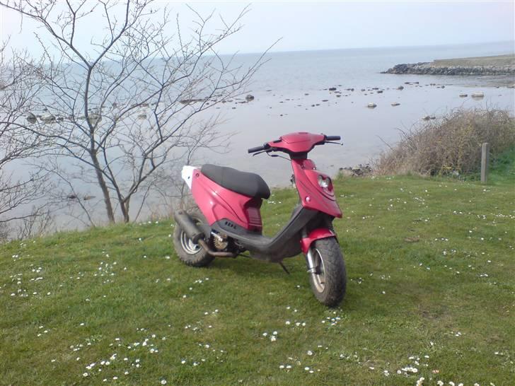 PGO Hot50 billede 17