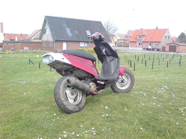 PGO Hot50 billede 18