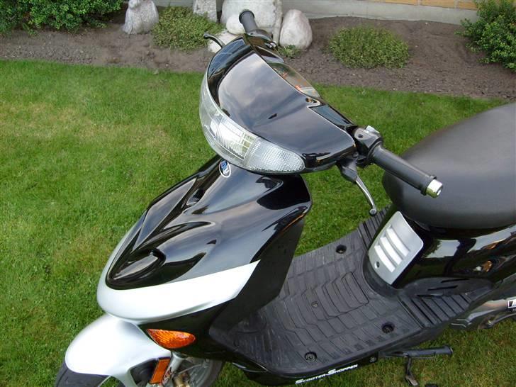Adly silverfox billede 10
