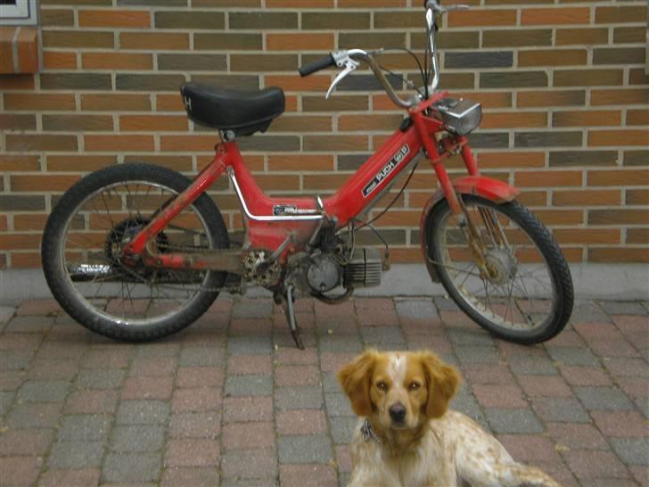 Puch maxi P (solgt) billede 2