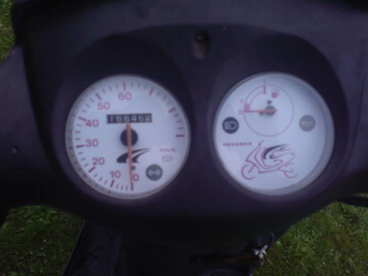 Peugeot buxy billede 7