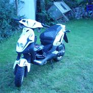PGO pmx Sport