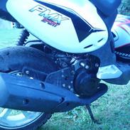 PGO pmx Sport