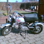 Honda z50a ''Mini trail''