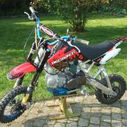 MiniBike Maxpro pitbike - byttet