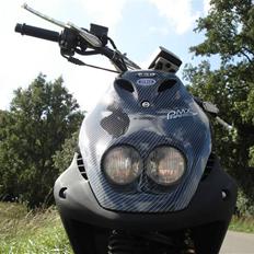 PGO Pmx Naked Carbon