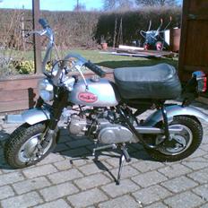 Honda z50a ''Mini trail''