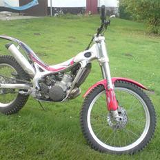 Beta REV-3 Trial ( Solgt )