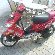 Peugeot Speedfight 2 WRC 307