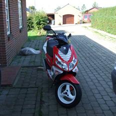 Peugeot Speedfight 2 Iron-x