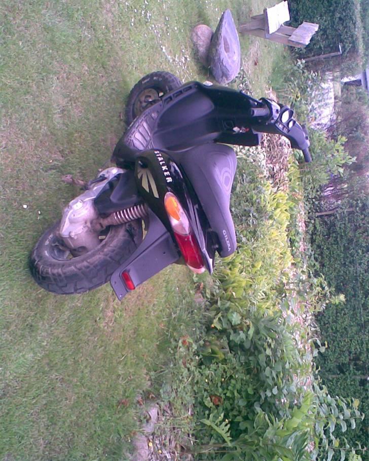 Gilera stalker (Solgt) billede 4