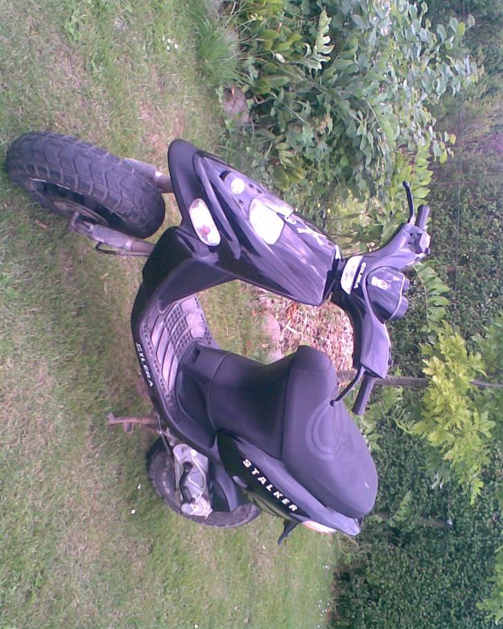 Gilera stalker (Solgt) billede 5