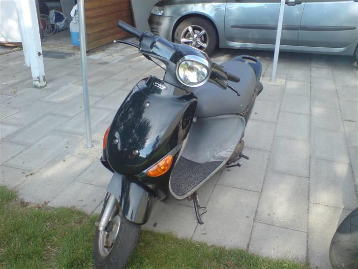 PGO rodoshow (solgt) billede 1