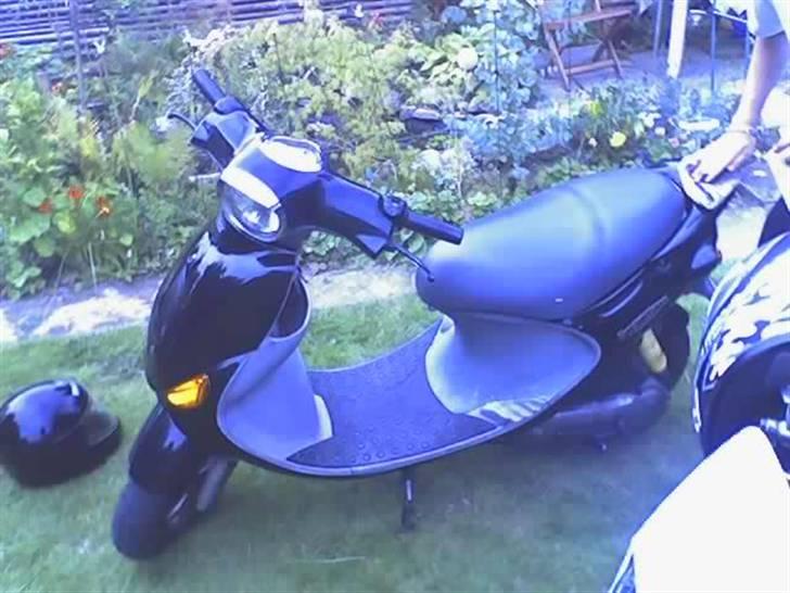 PGO rodoshow (solgt) billede 2