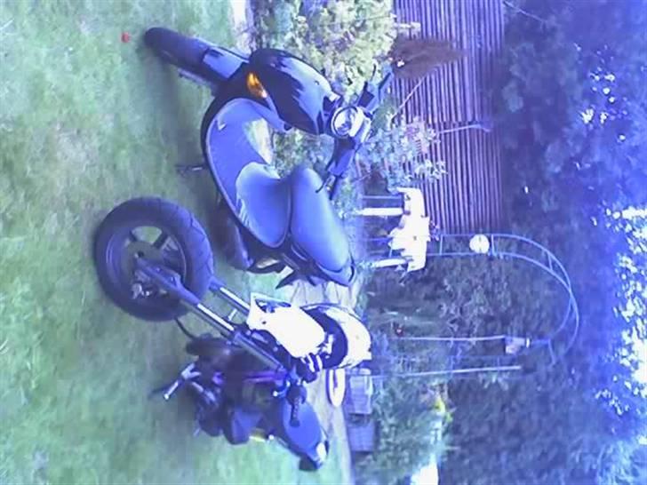 PGO rodoshow (solgt) billede 3