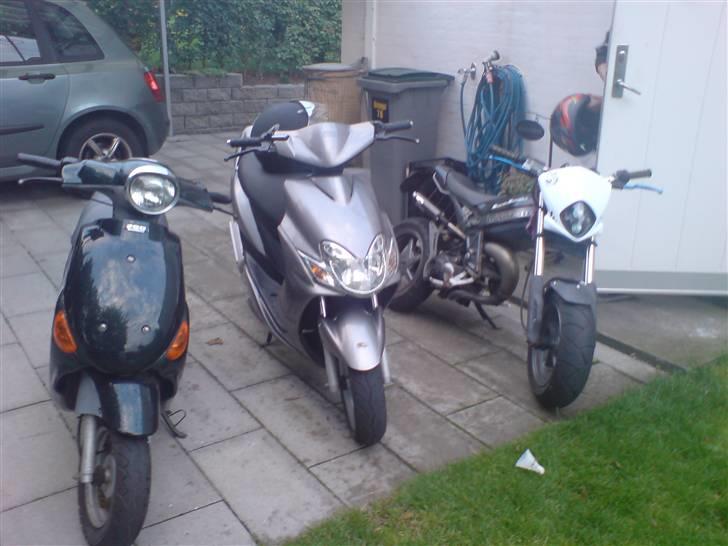 PGO rodoshow (solgt) billede 5