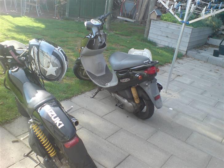 PGO rodoshow (solgt) billede 8