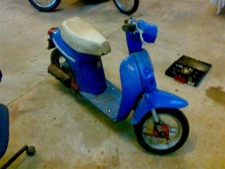 Honda Melody Molly V - Solgt billede 11