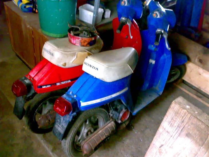 Honda Melody Molly V - Solgt - Molly IIII og Molly IIII :) billede 12