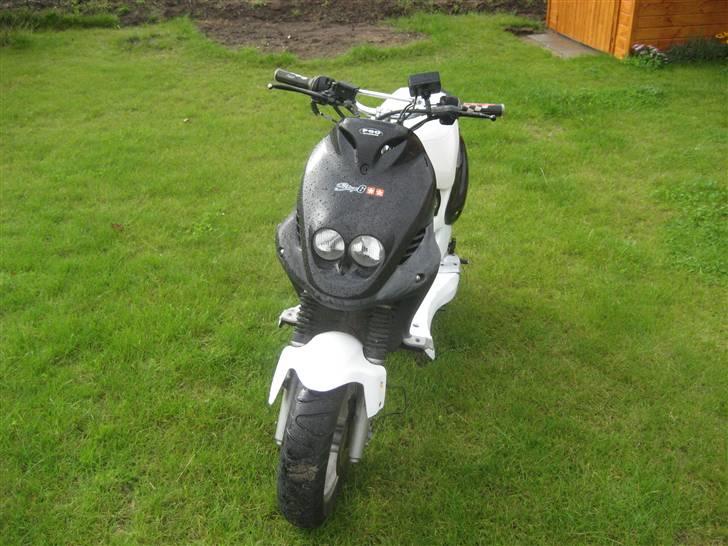 PGO PMX Sport MONA :) [SOLGT] billede 2