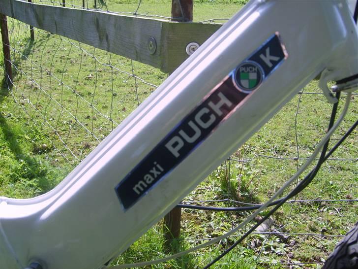 Puch maxi billede 3