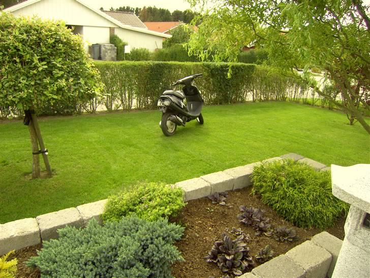 Yamaha jog SOLGT ! - som den så ud før :D billede 14