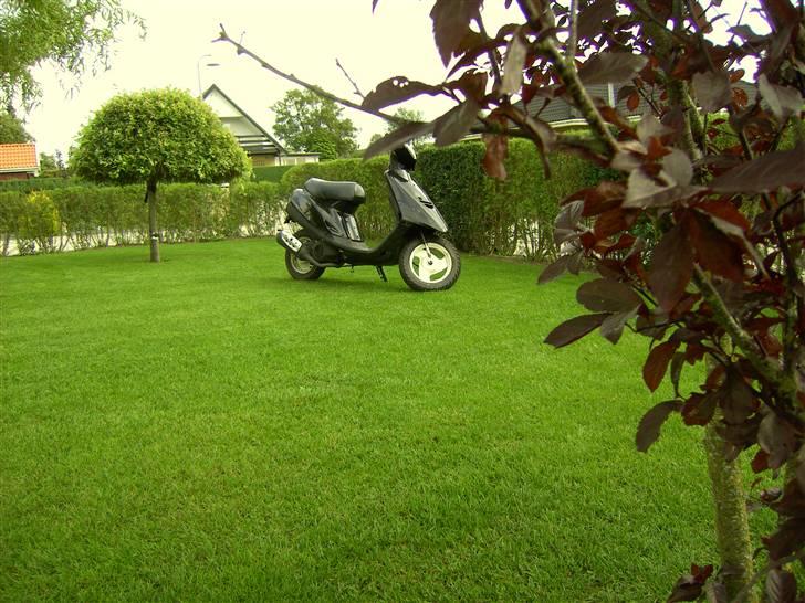 Yamaha jog SOLGT ! - som den så ud før :D billede 15