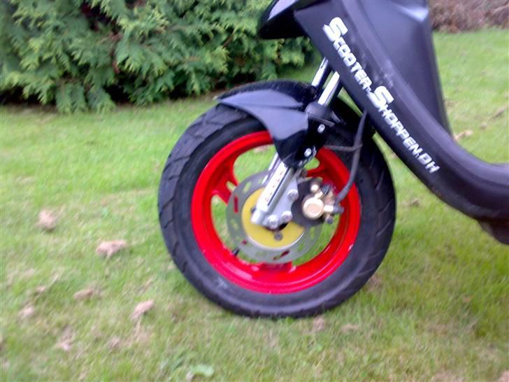 PGO Hot 50 [Byttet] billede 6