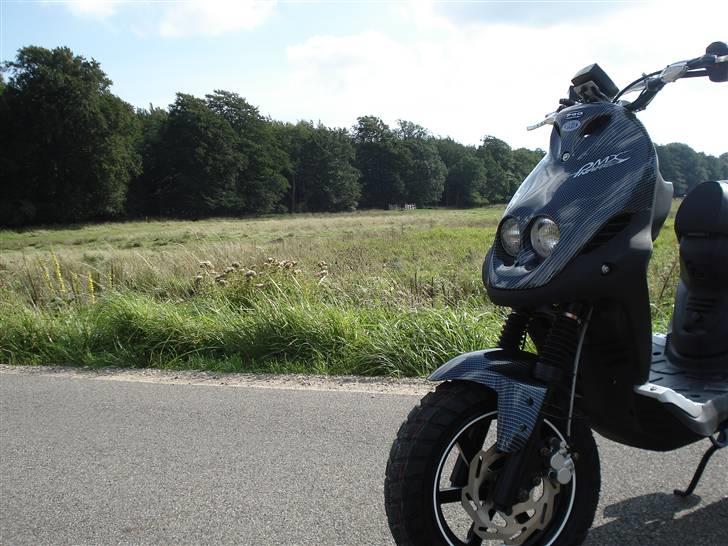 PGO Pmx Naked Carbon billede 1