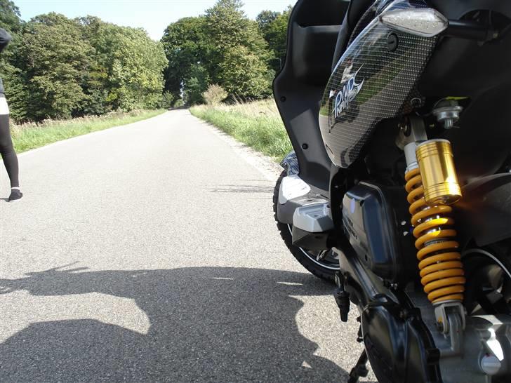 PGO Pmx Naked Carbon billede 4