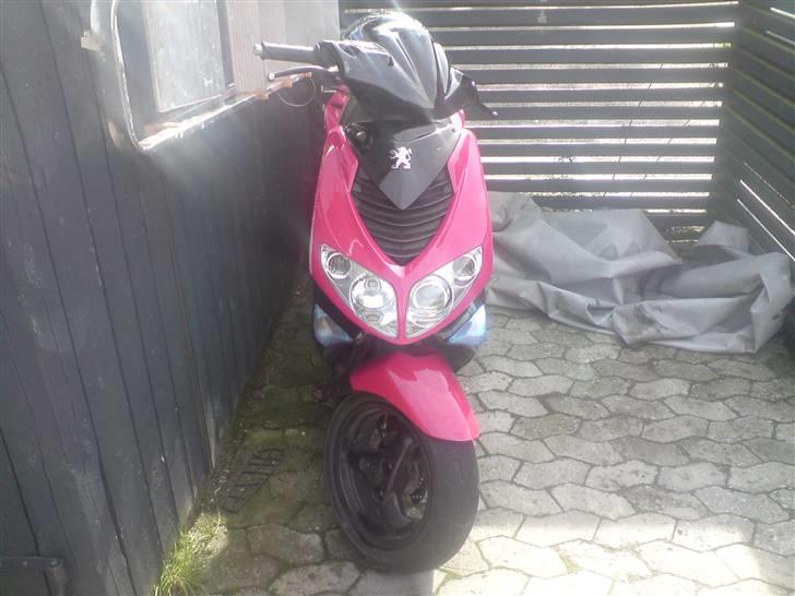 Peugeot speedfighit (bytte) billede 4