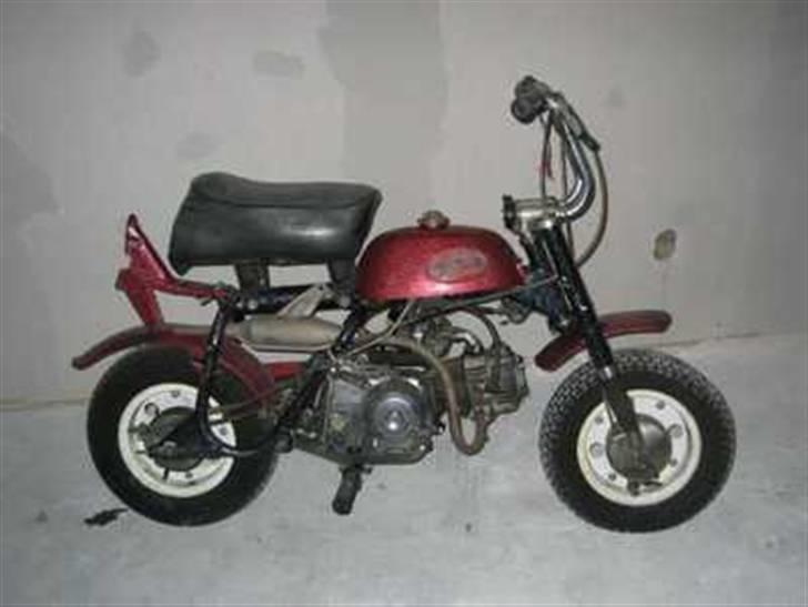 Honda z50a ''Mini trail'' billede 5