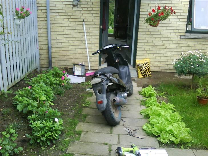 PGO hot50/solgt :( billede 4