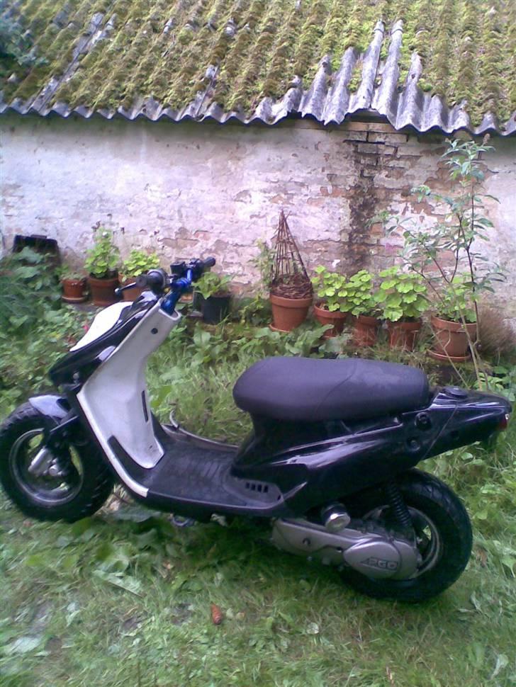 PGO Hot 50 Solgt billede 9