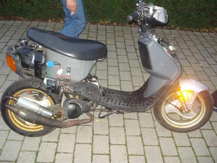 Adly tmp Baboon // givet væk!! billede 9