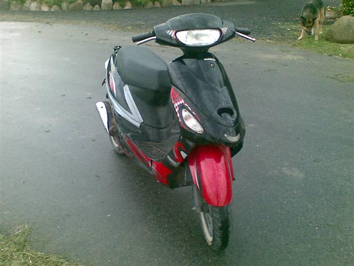 Giantco sprint  solgt - gammel billder billede 3