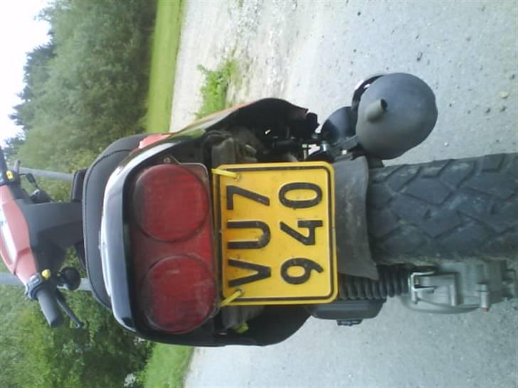 PGO Hot 50 / solgt billede 9