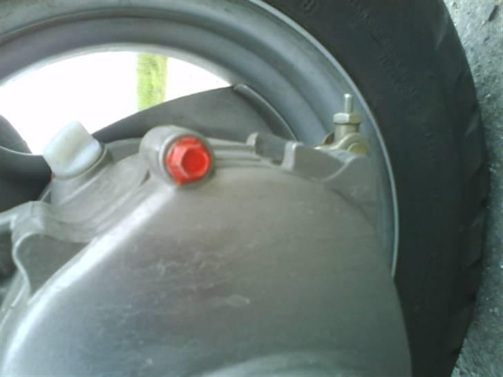 PGO Hot 50 / solgt billede 12