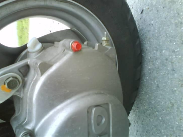 PGO Hot 50 / solgt billede 13