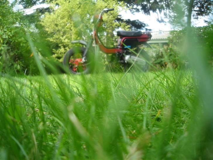 Suzuki FZ50 SOLGT billede 13