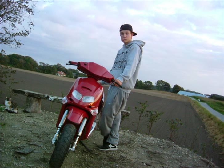 Aprilia Rally MHR 95%(sælge) - mig og svinét  (; billede 5