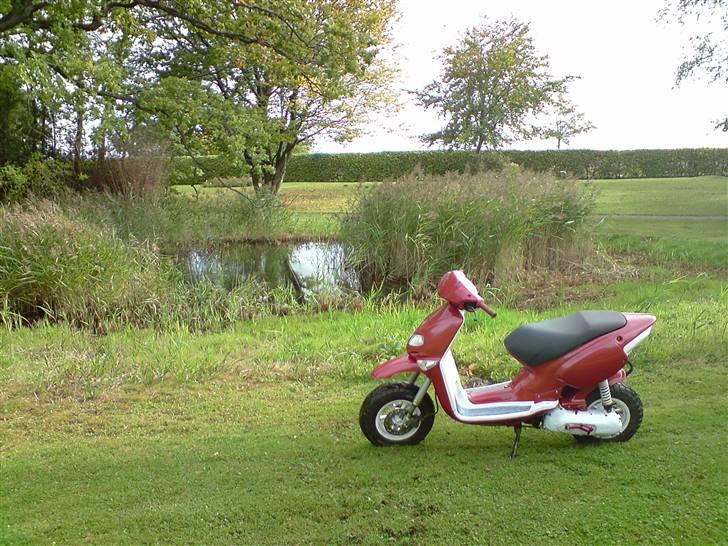 Aprilia Rally MHR 95%(sælge) billede 6